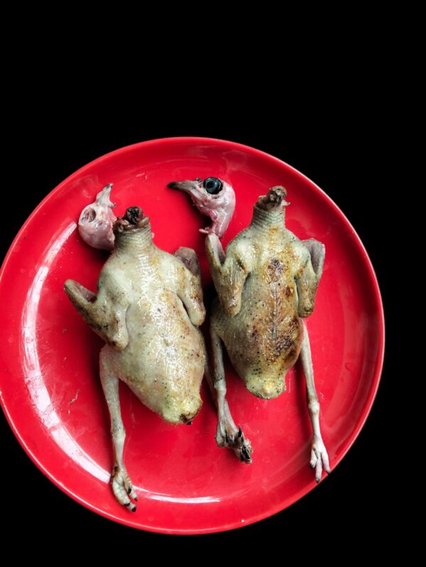 কবুতরের বাচ্চার (Pigeon Meat_Ready to Cook)