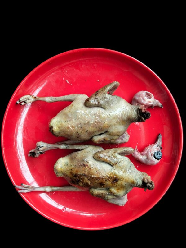 কবুতরের বাচ্চার (Pigeon Meat_Ready to Cook) - Image 3