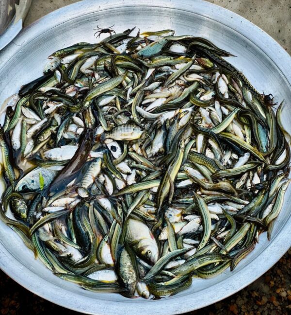 Dashi Mixed Fish - Image 2