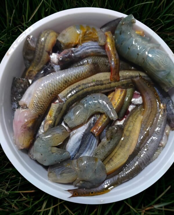 Dashi Mixed Fish