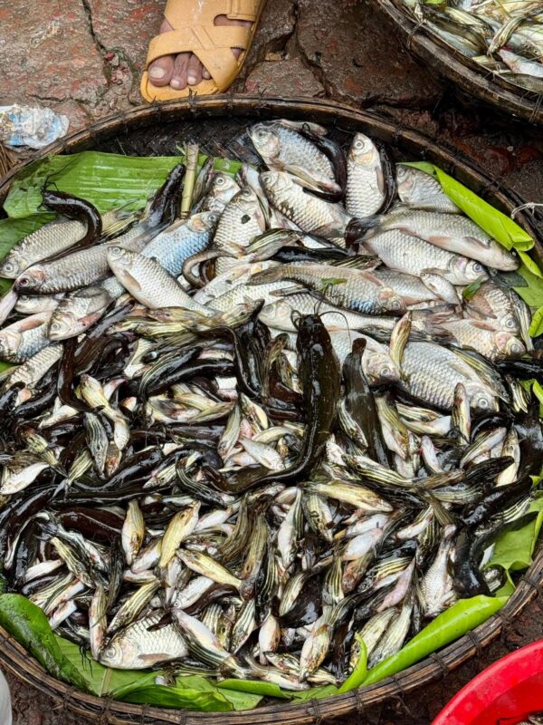 Dashi Mixed Fish - Image 3